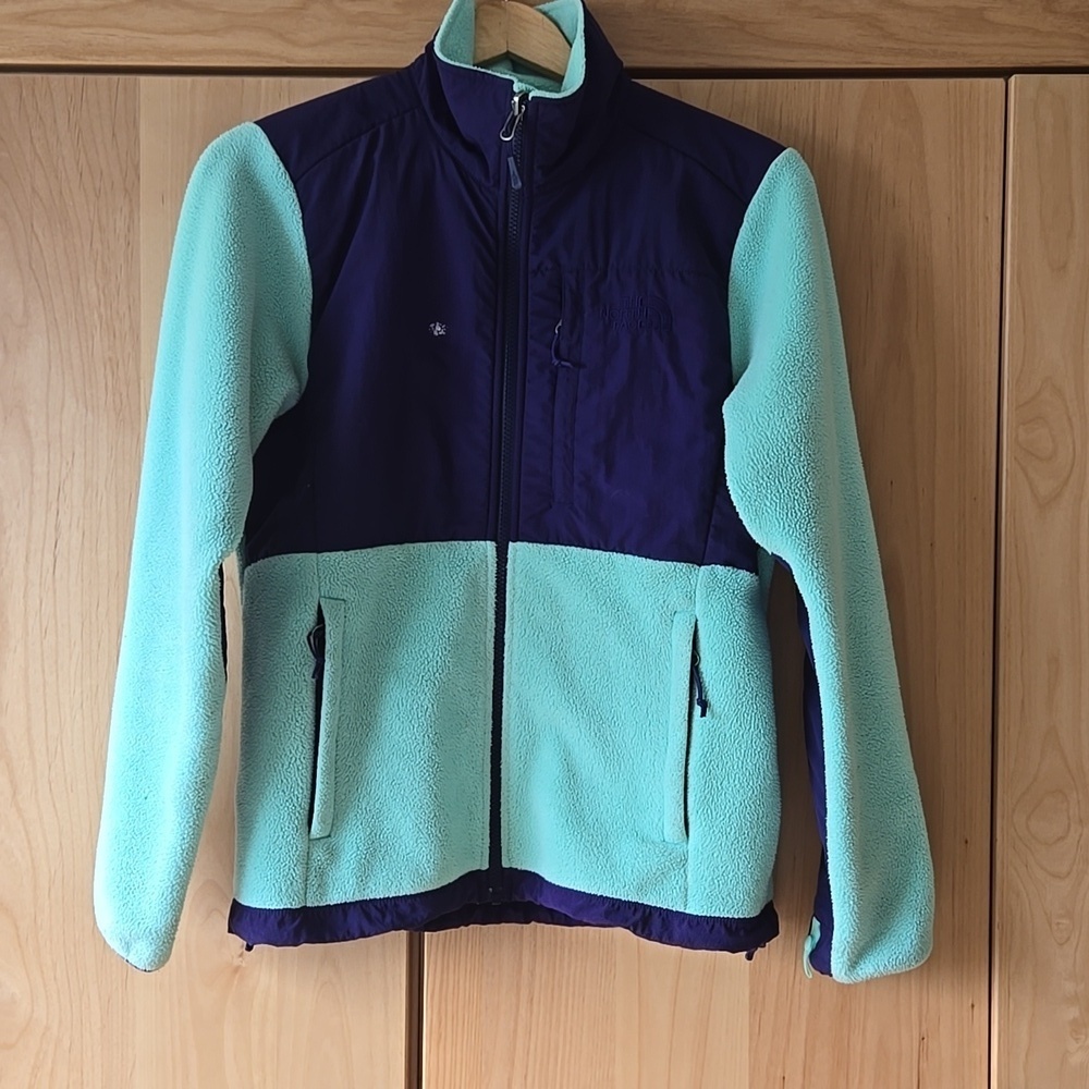The North Face Fleece Jacket Outerwear, Green Purple, Warm Polartec, Small, GUC